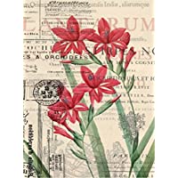 Cadence Papel de Arroz Flores Rojas 30x41 cm.